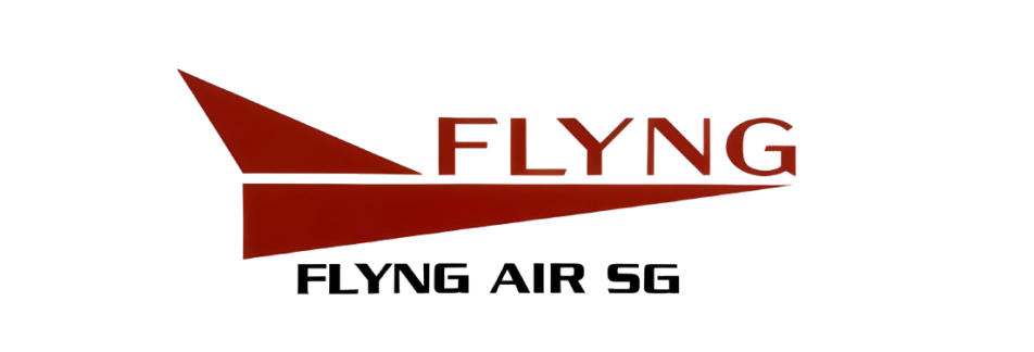 FLYNG AIR SG Logo